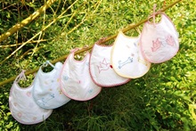Turquaz Paw Paw Bibs